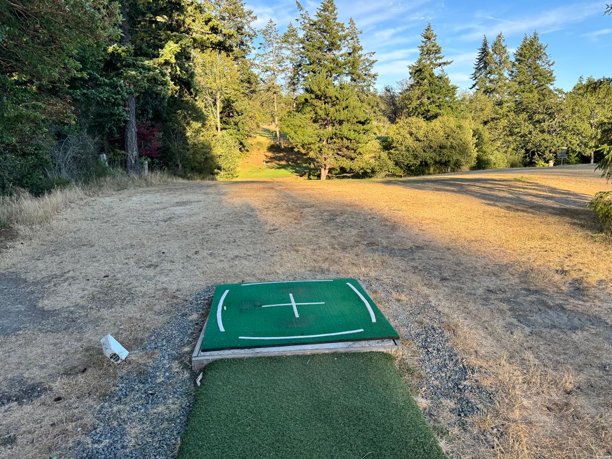 Hole 6 - water and dangerous plants (Daphne)