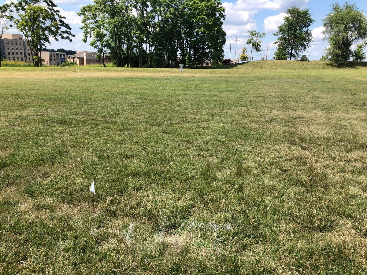 Hole 16 tee