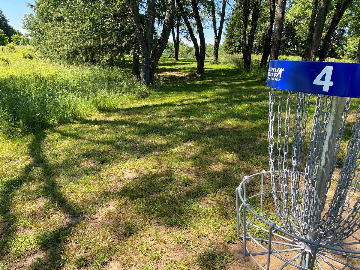 Reverse view of tee box from 4 basket