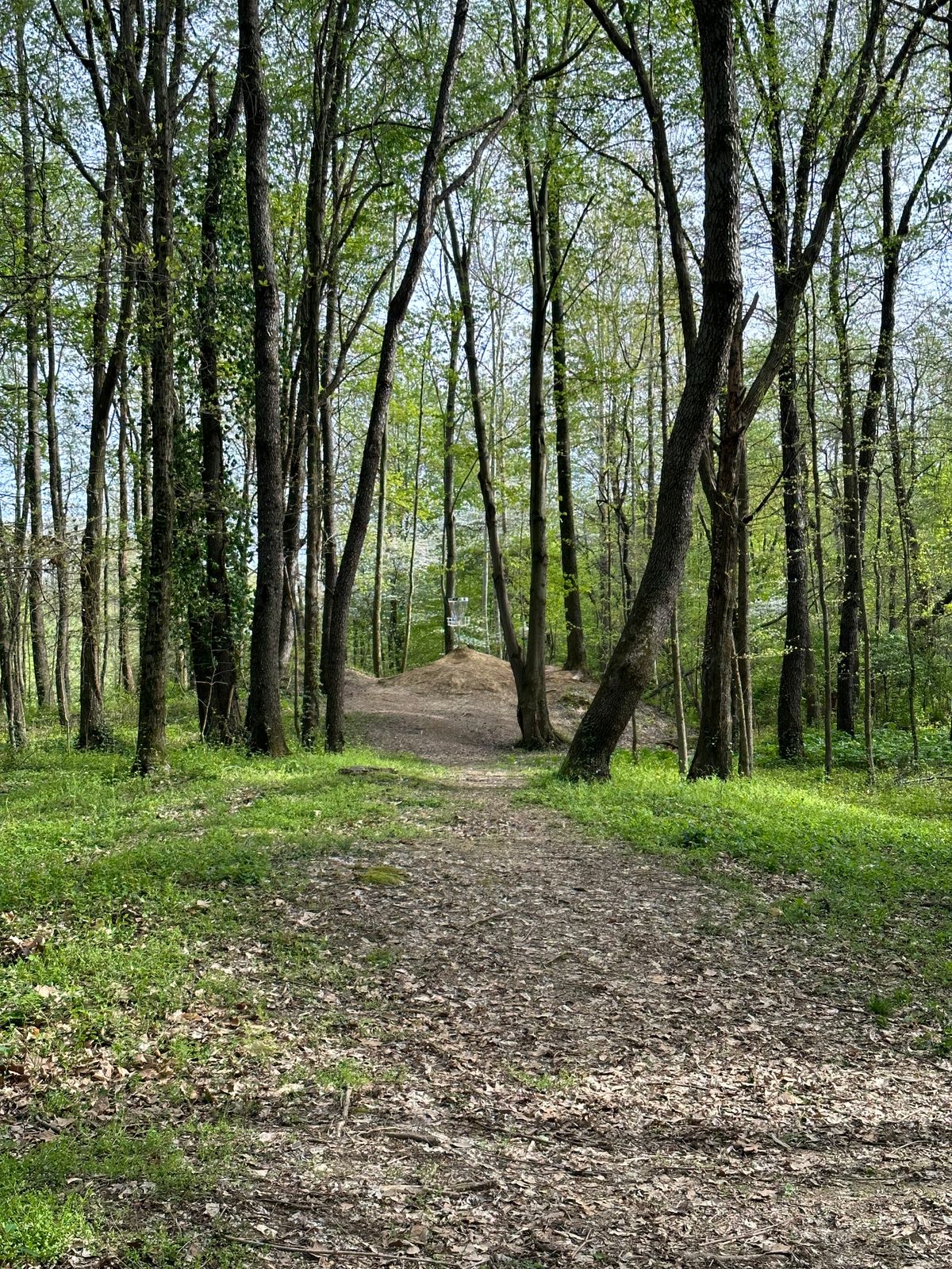 Hole 2 at the bend.