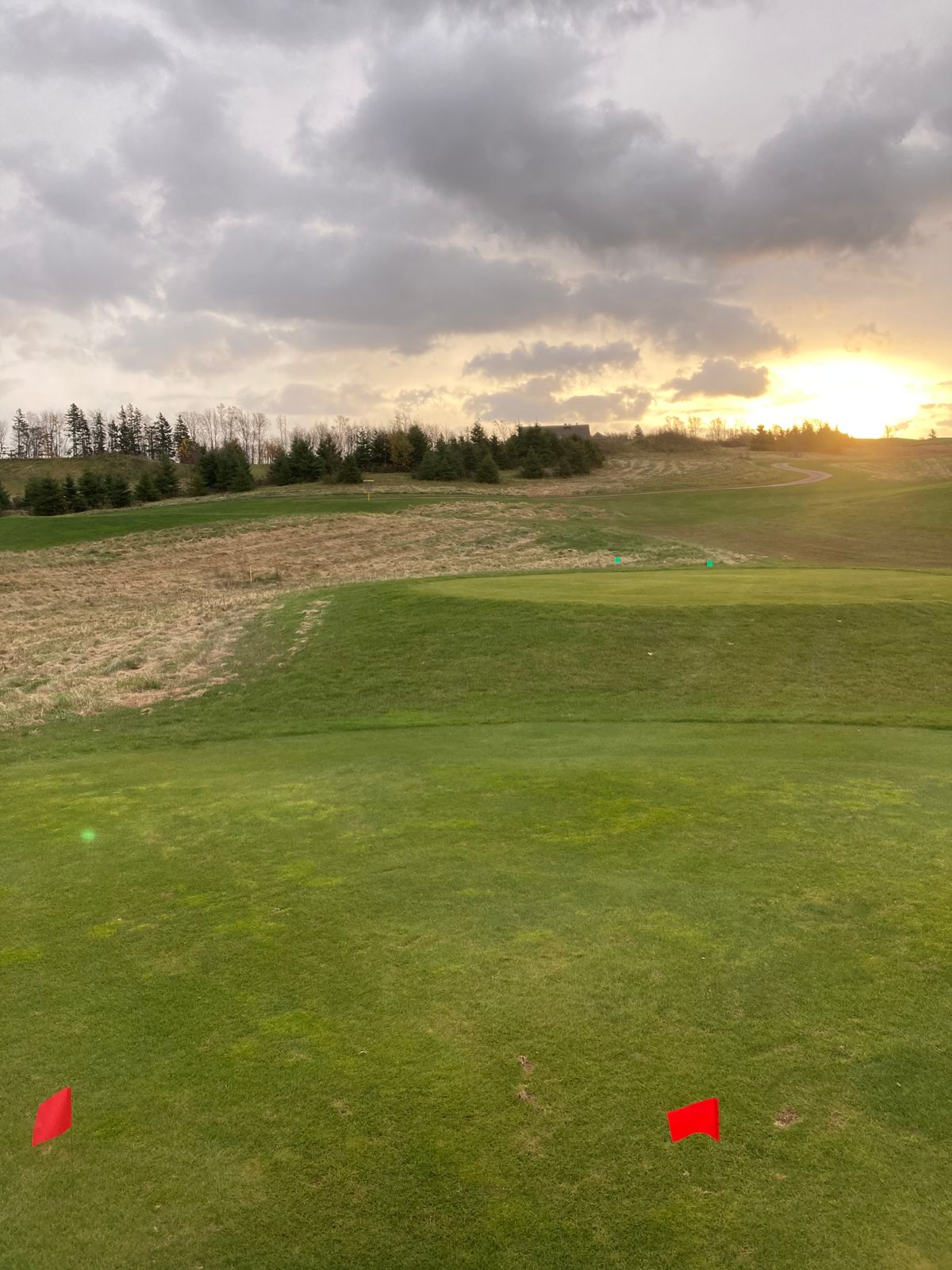 Hole 8 Red tee.  Progressive drop zones if you miss the island.