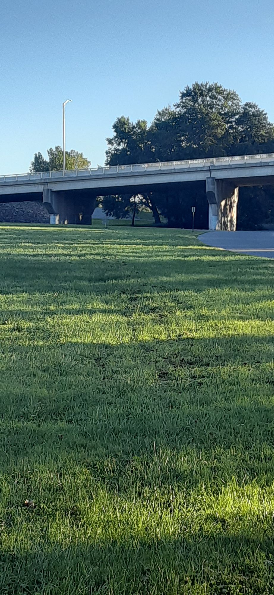 Hole 5 from tee