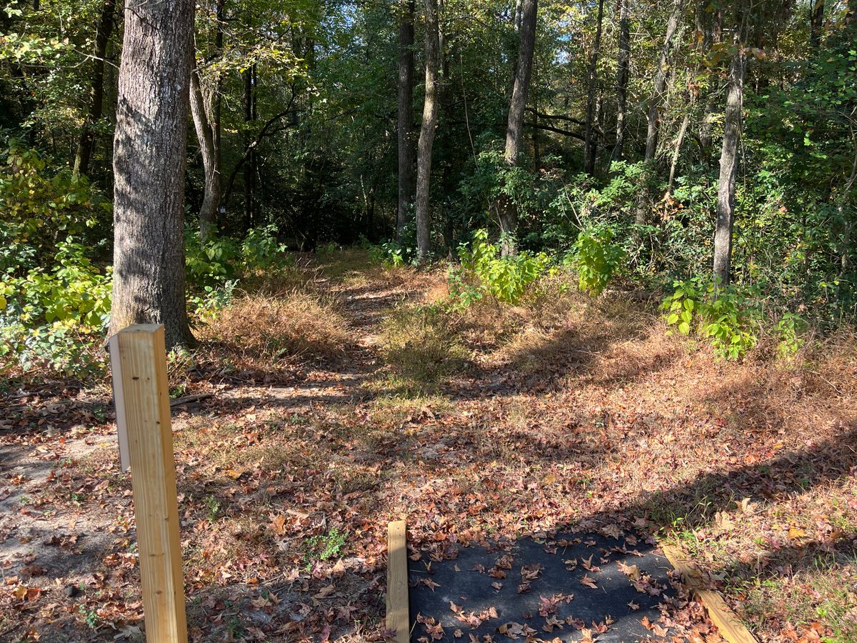 Hole 2 tee