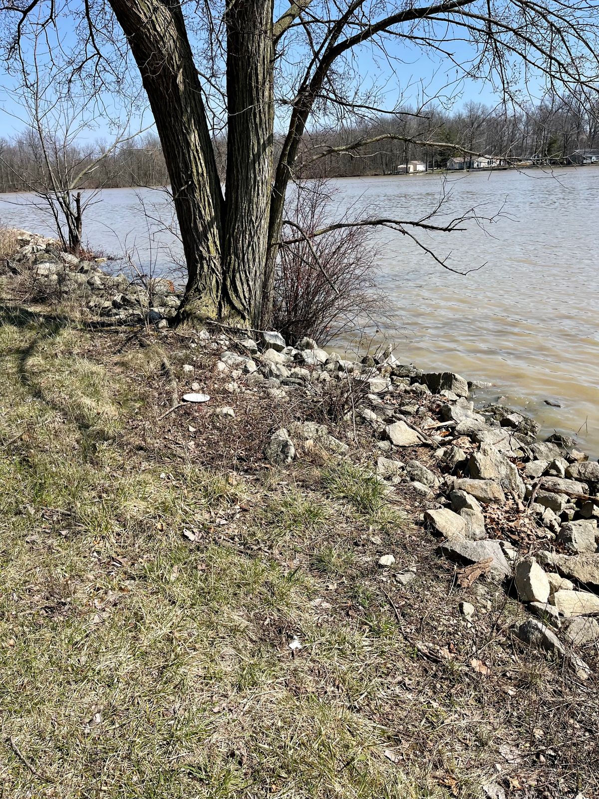 Lake almost claimed my disc
