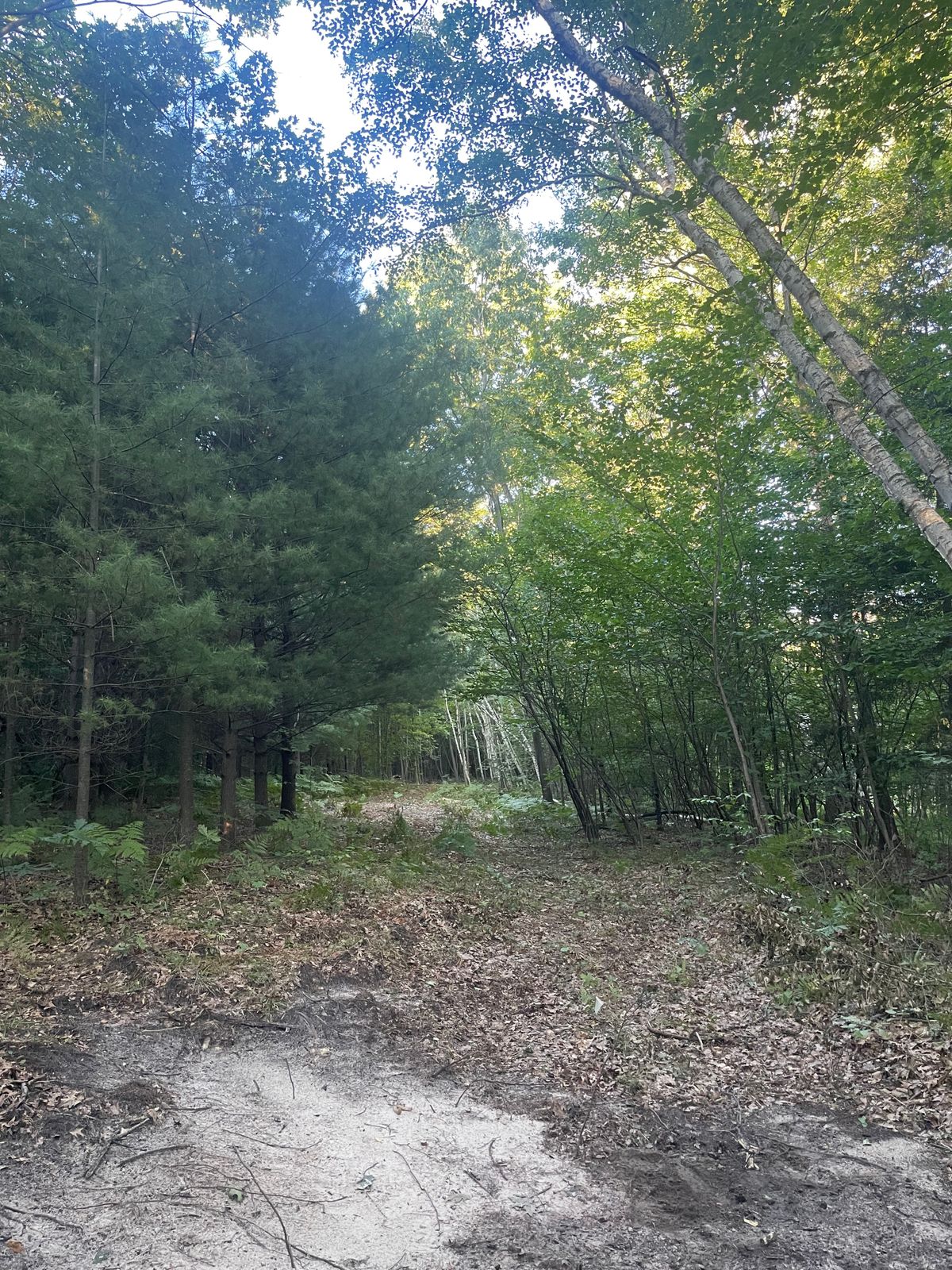 Hole 18s tee pad