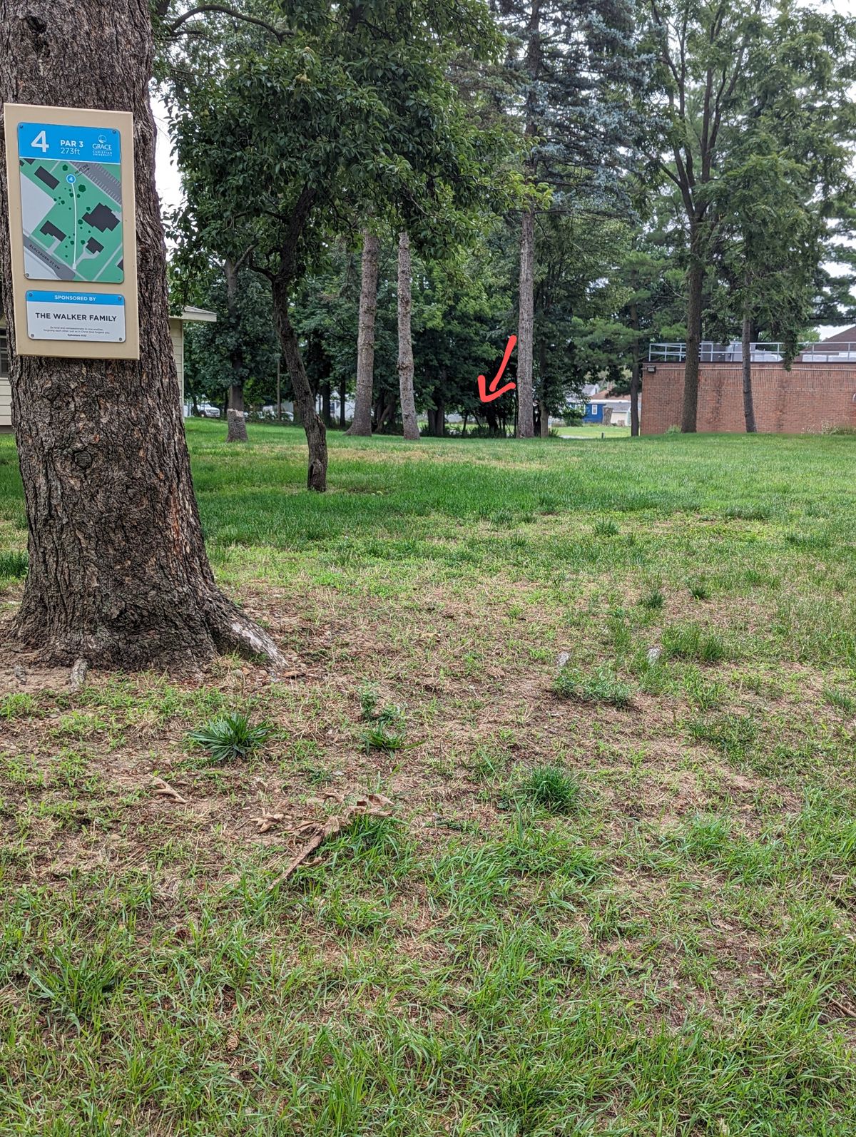 Hole 4 Tee Pad
