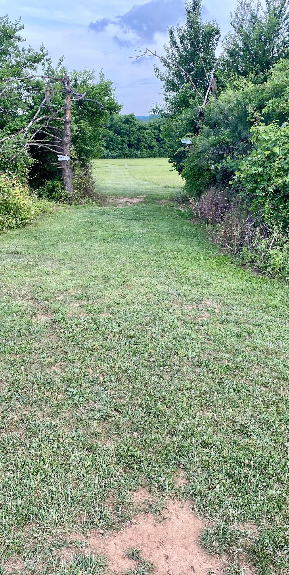 Hole 17