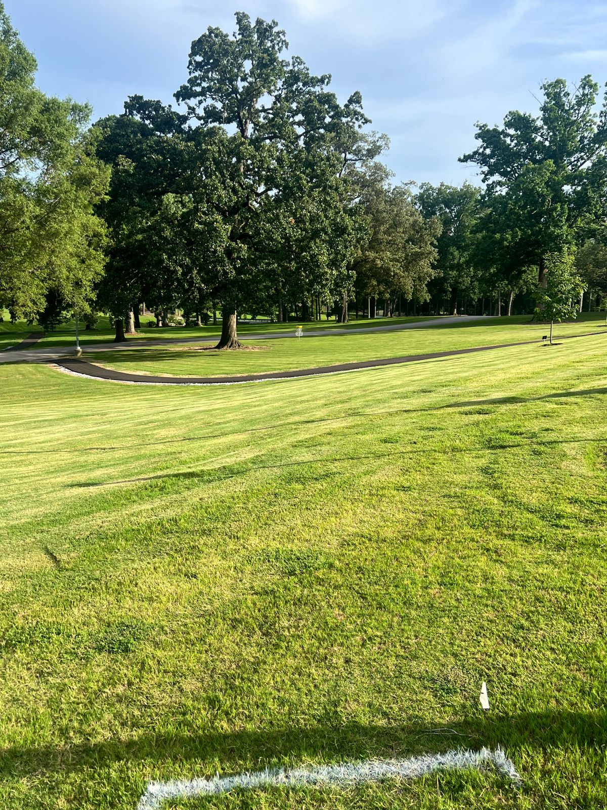 Hole 1 from tee area.