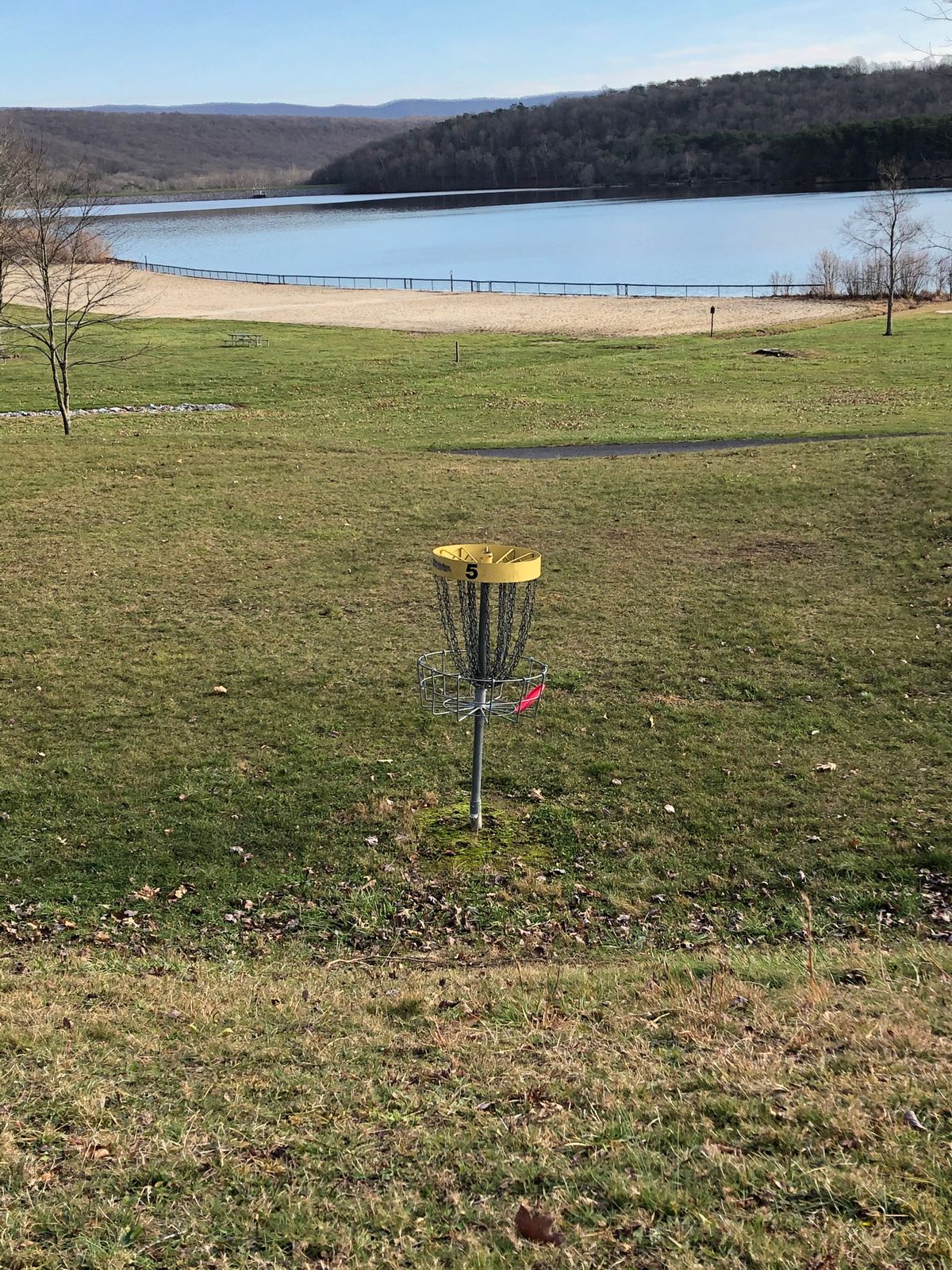 Hole 5 basket