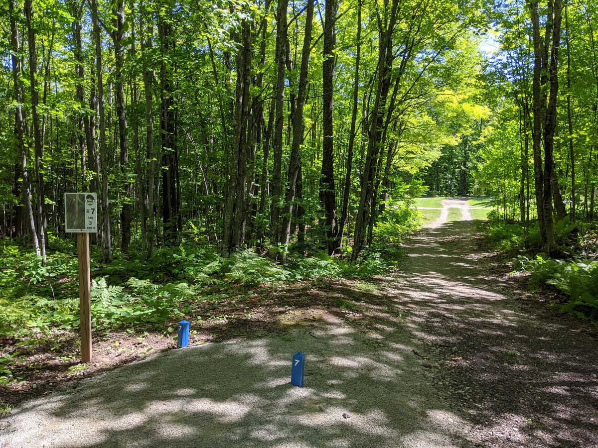 Hole 7