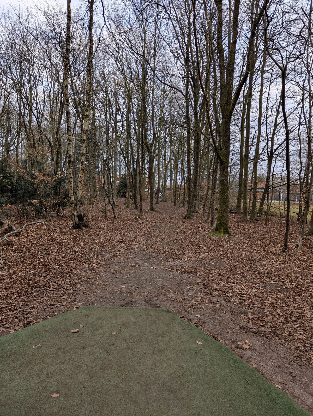 Play a round of plinko on hole 16