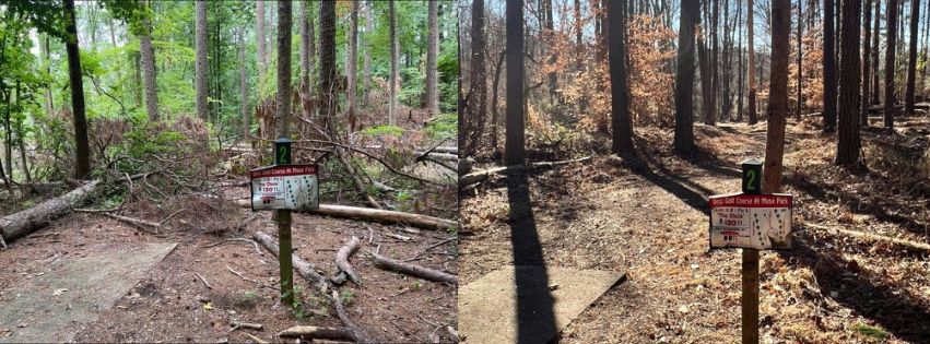Before and after storm damage clean up.