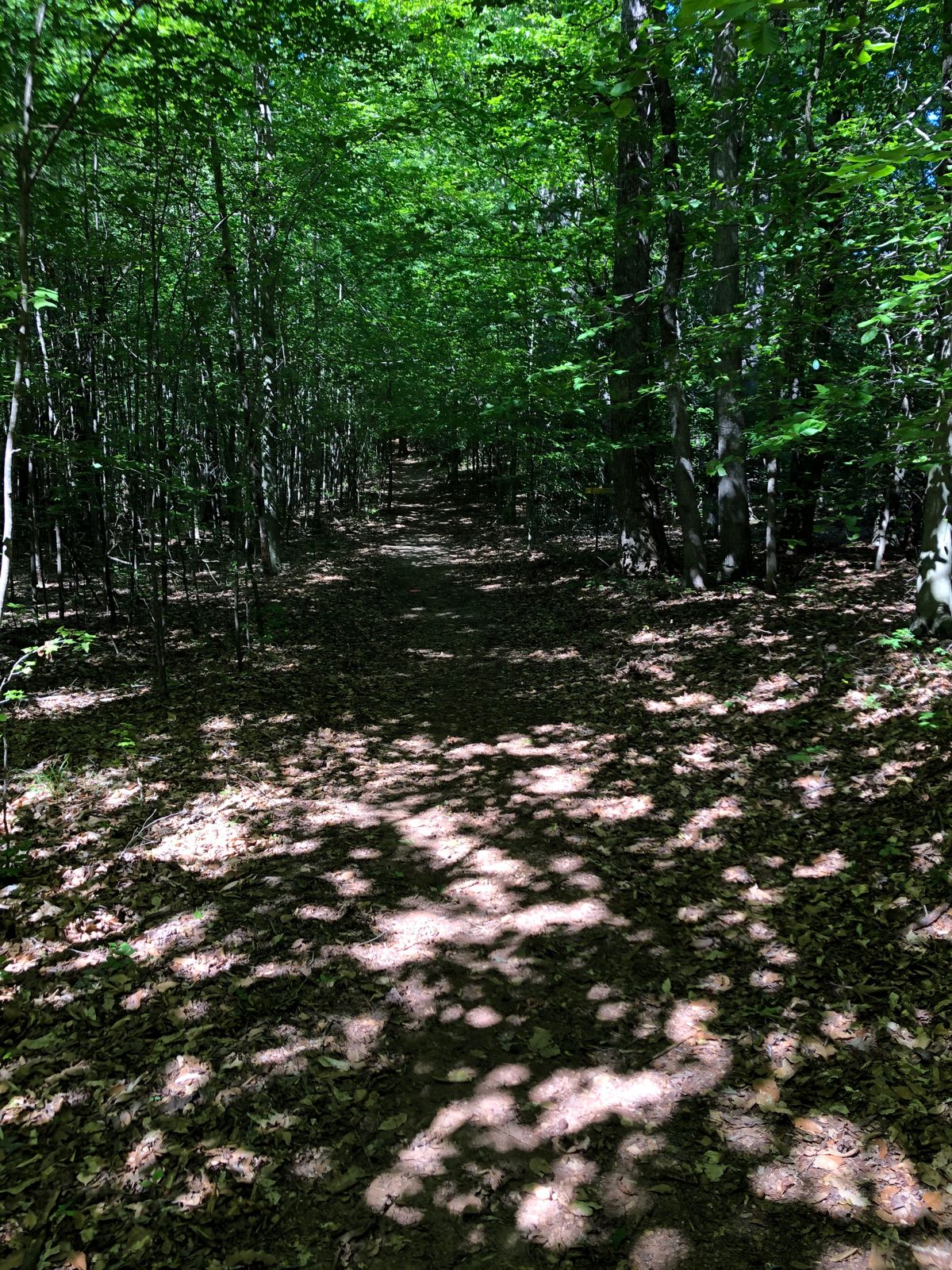 Second fairway