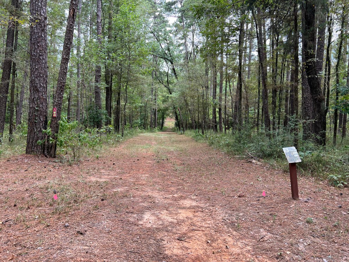 Hole 13 tee