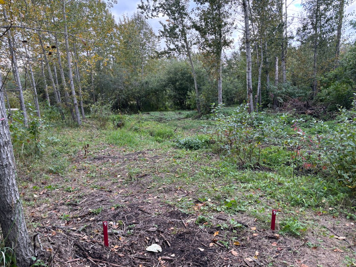 Hole 9 Reds