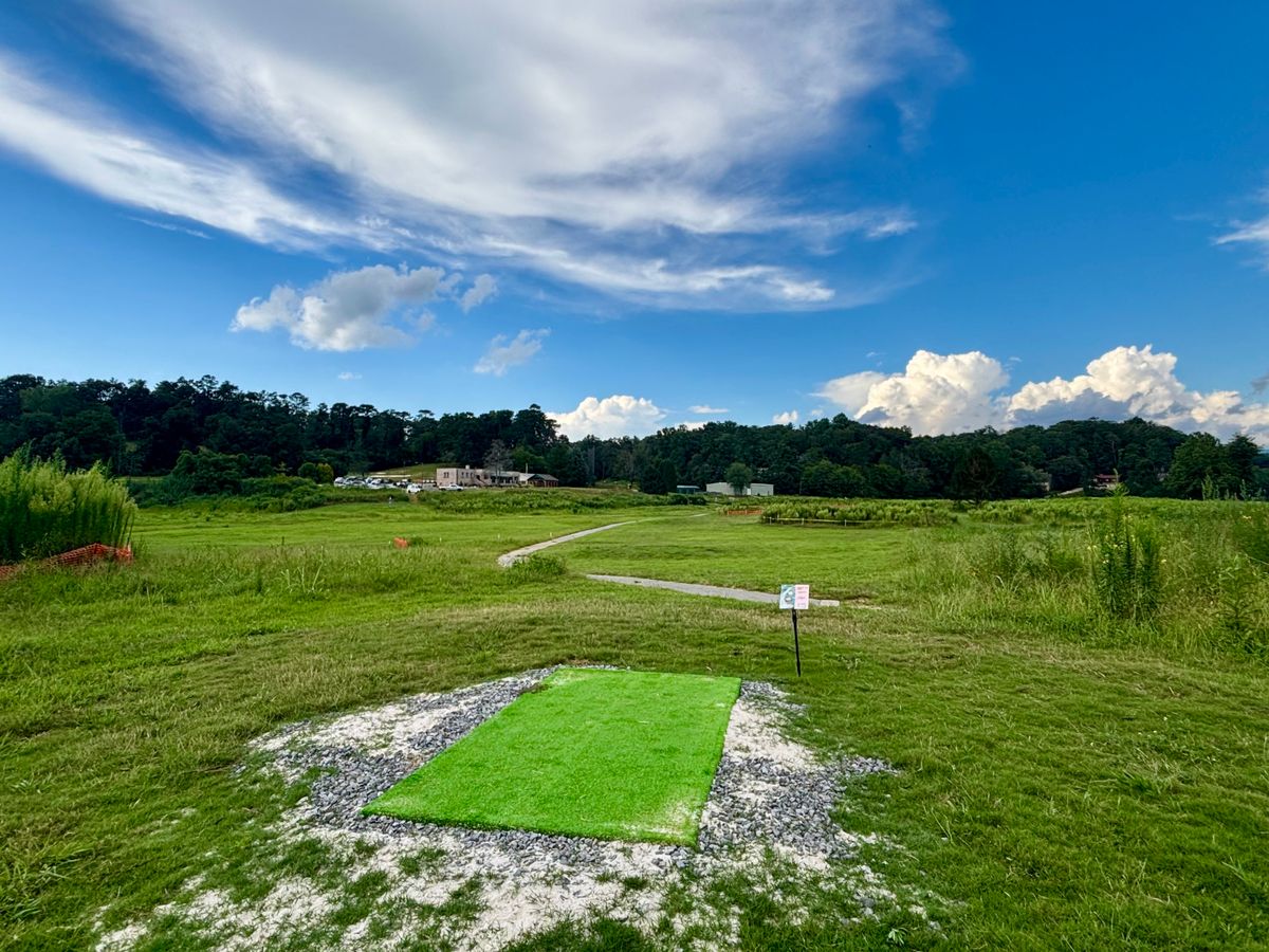 Hole 10 short tee
