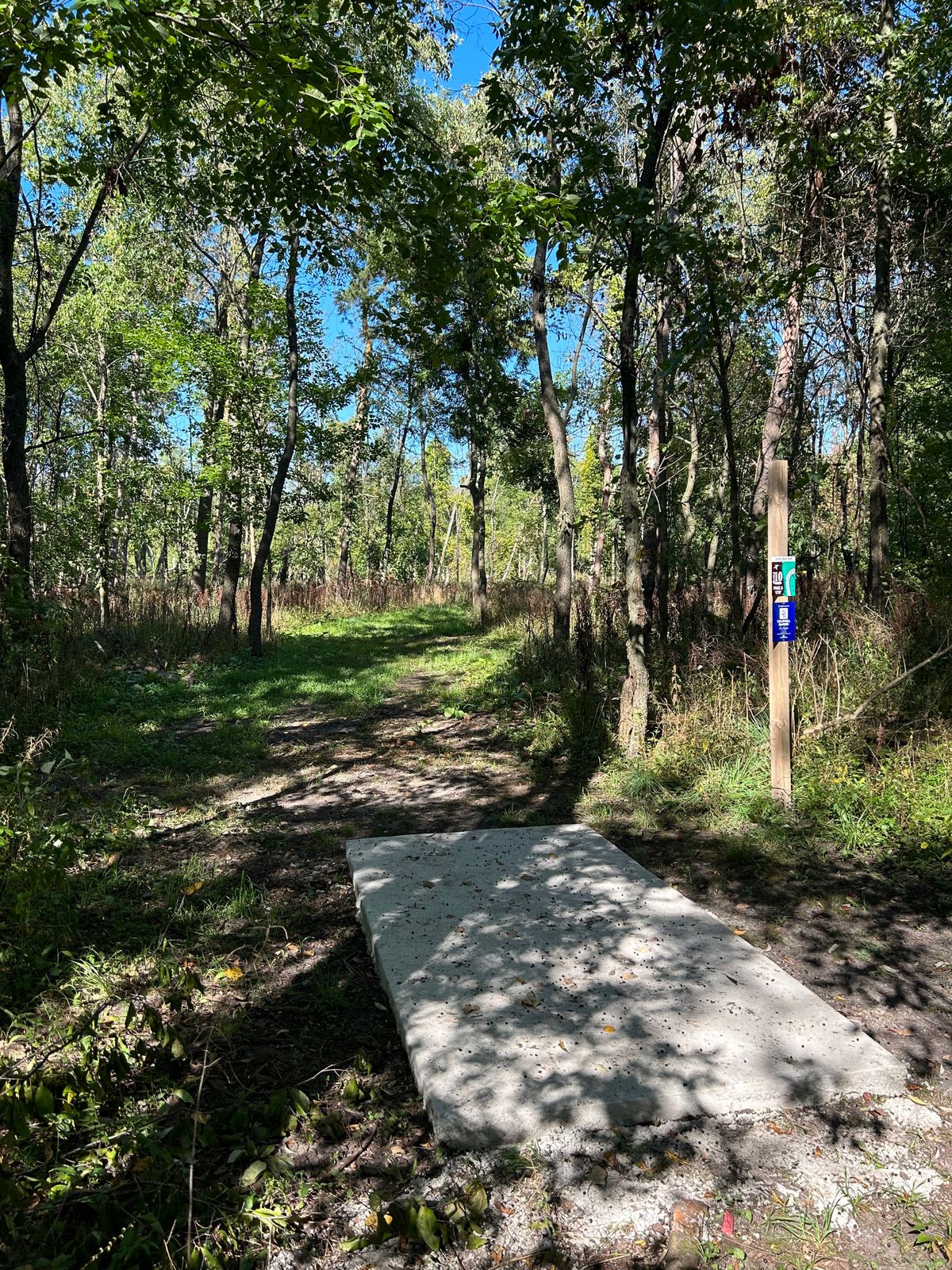 Hole 10