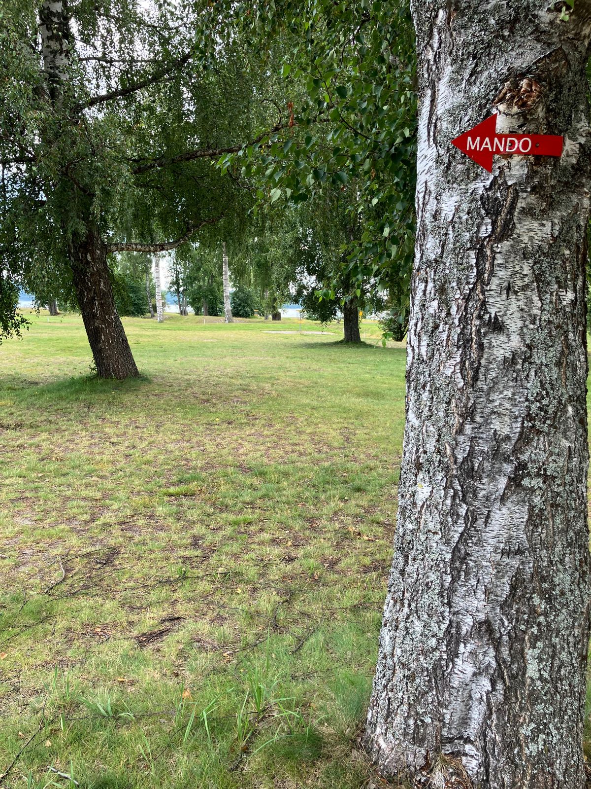 Hål 19, Mandoträd