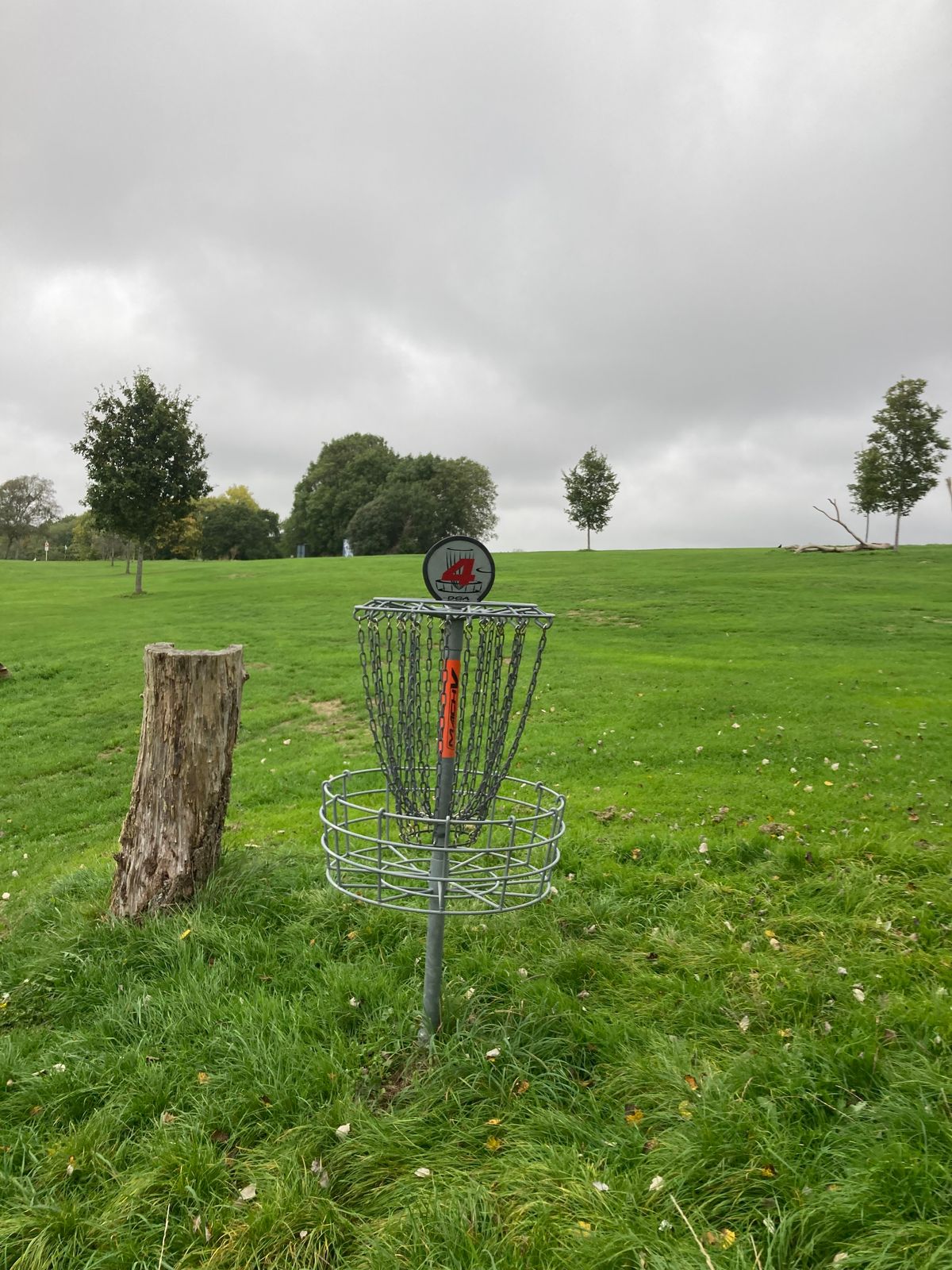 Hole 4 Bakset