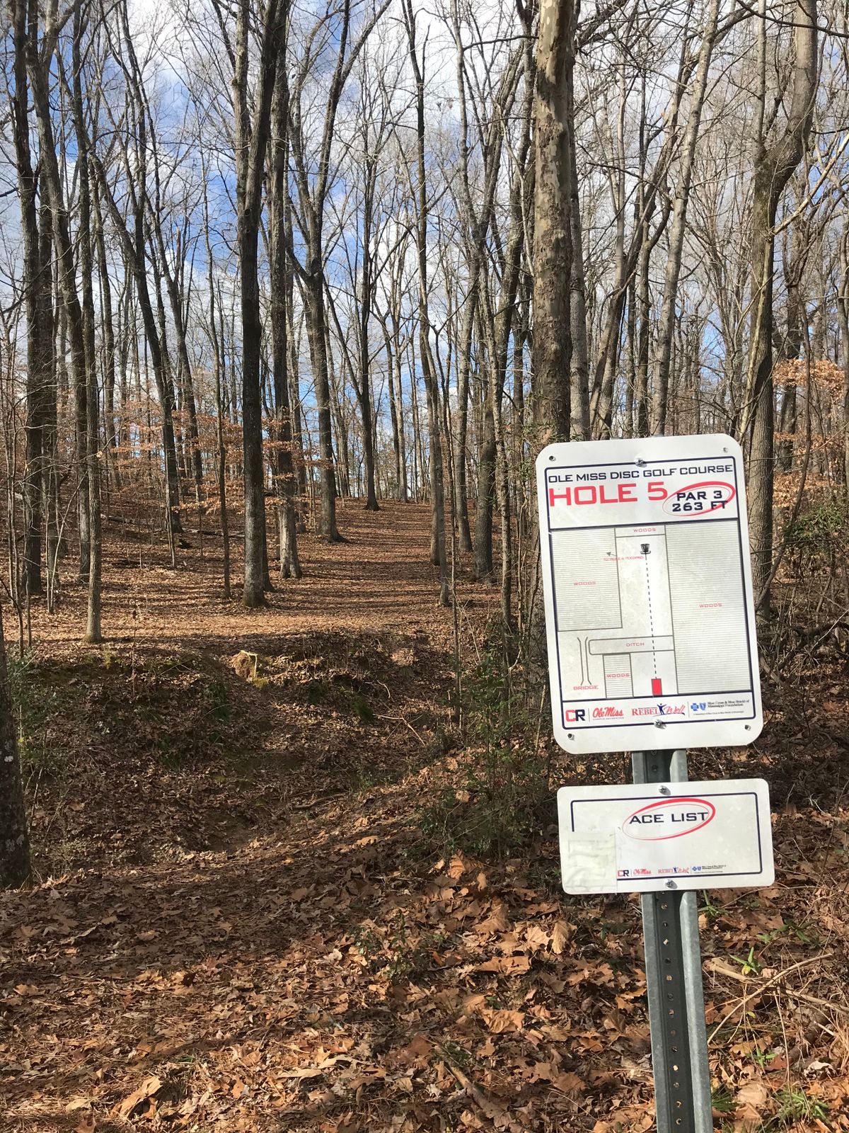 Hole 5: Over the creek, uphill fairway