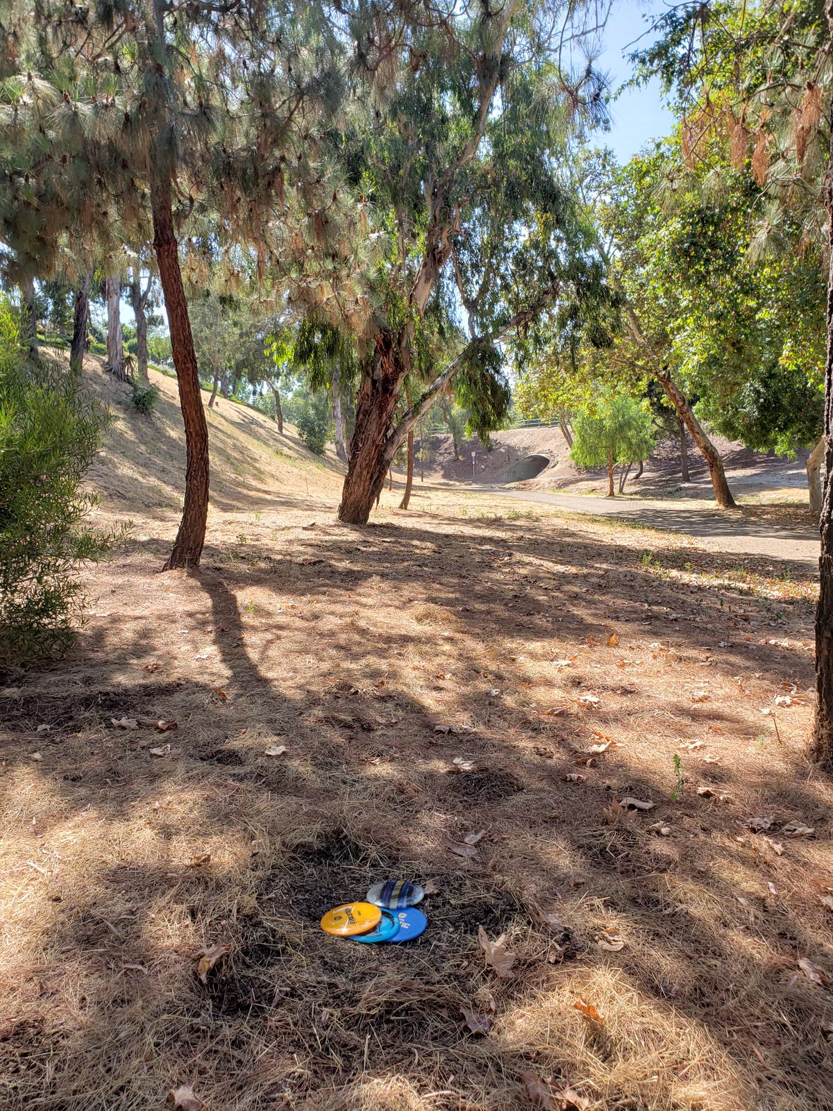 Hole 2's future basket location.