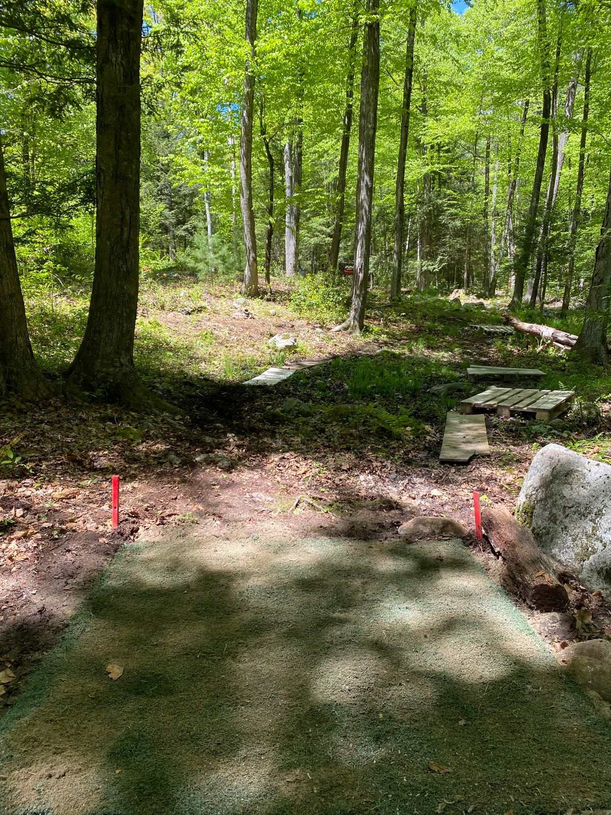 Hole 10 short tee