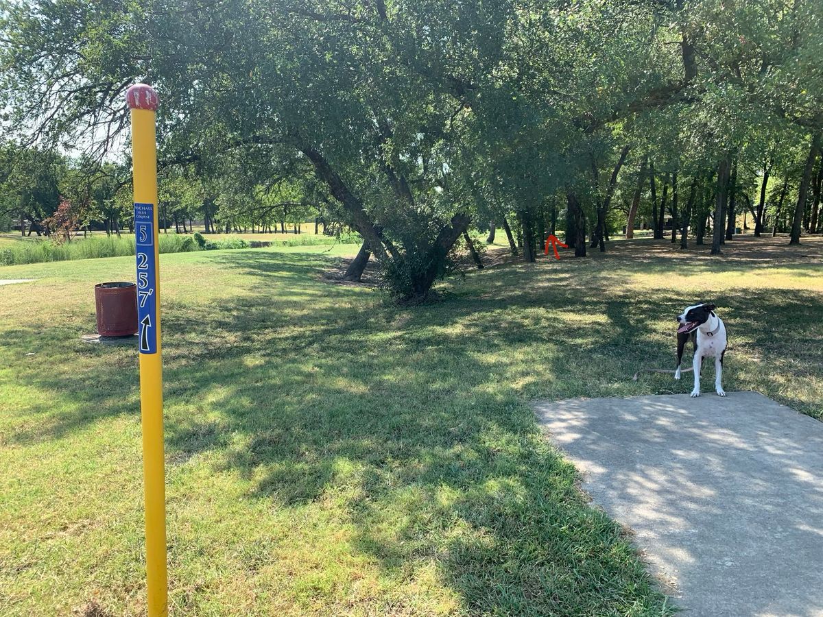 Hole 5. Blue Tee. 257 FT. Basket is behind circled area.