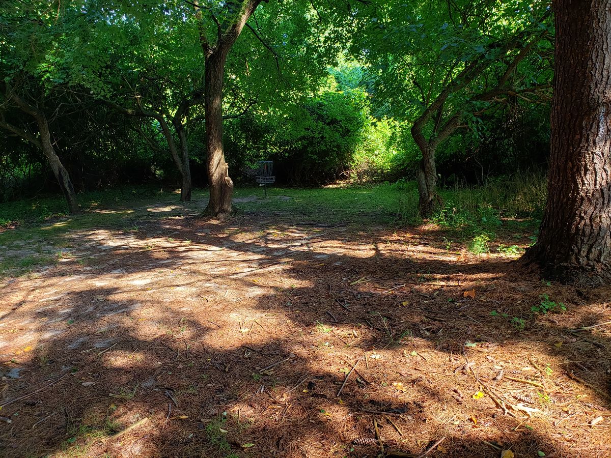 Hole 1 Basket