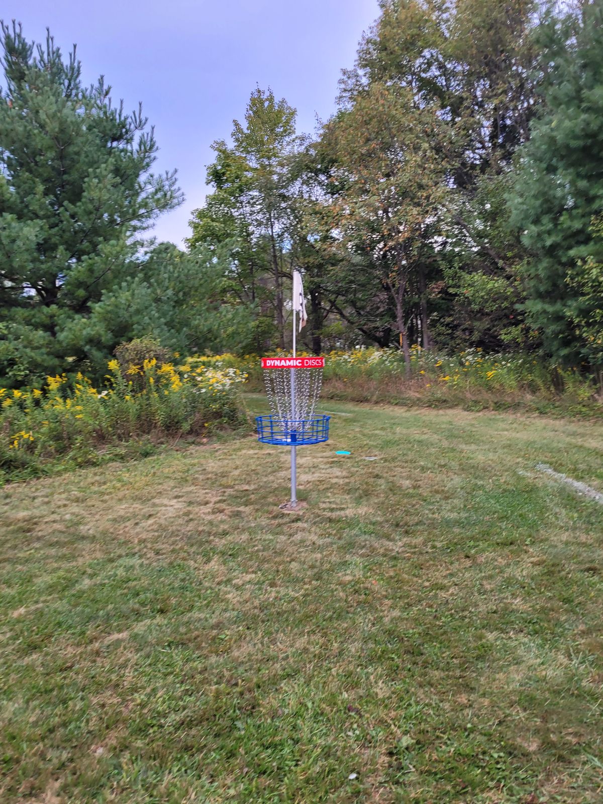 Green of 16
