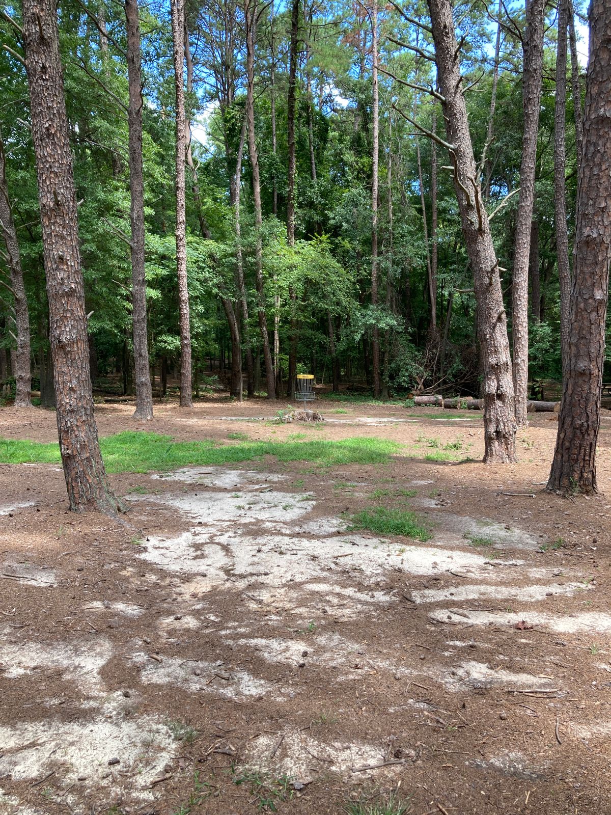 Hole 5 - basket