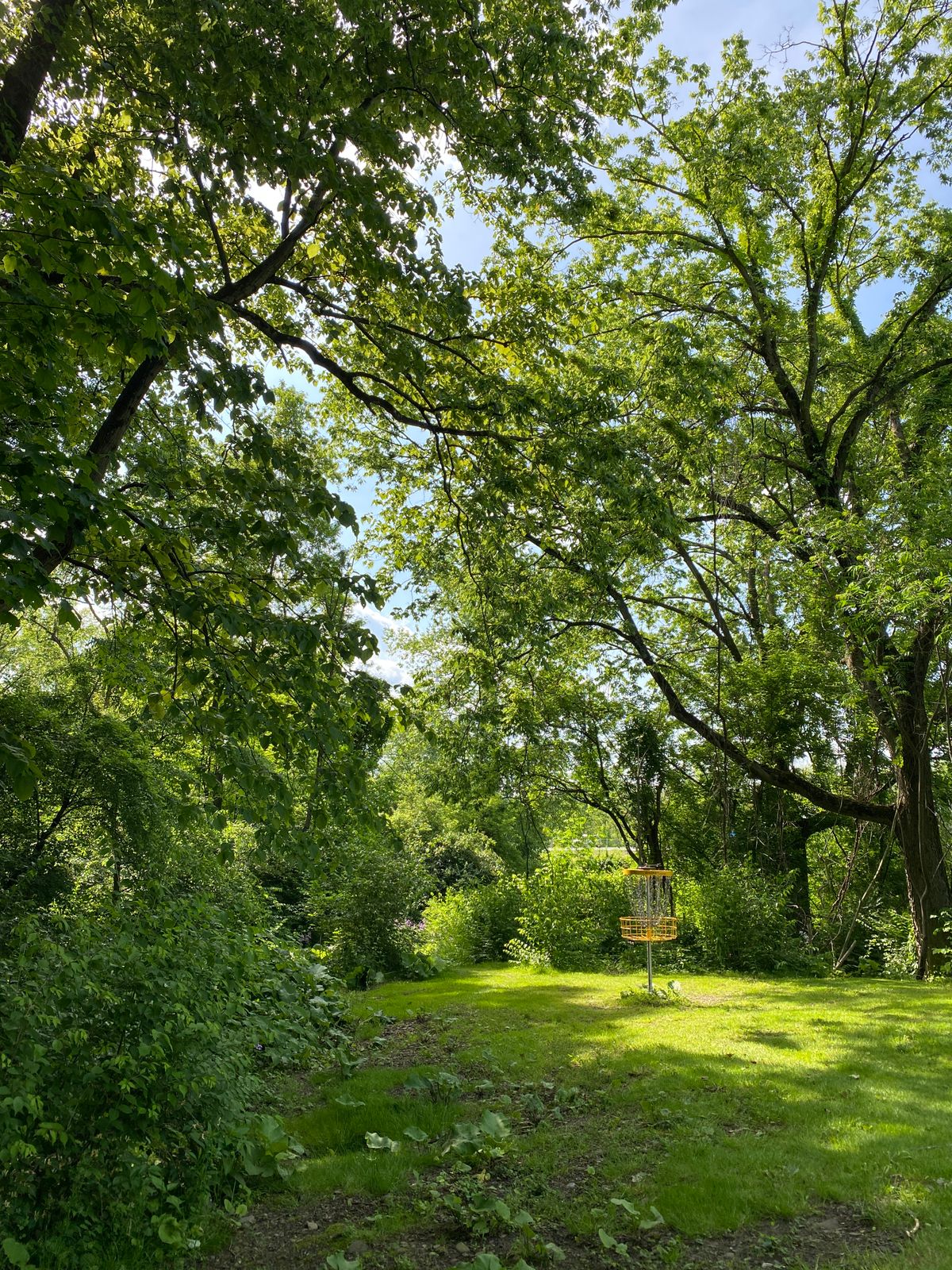 Hole 14 basket