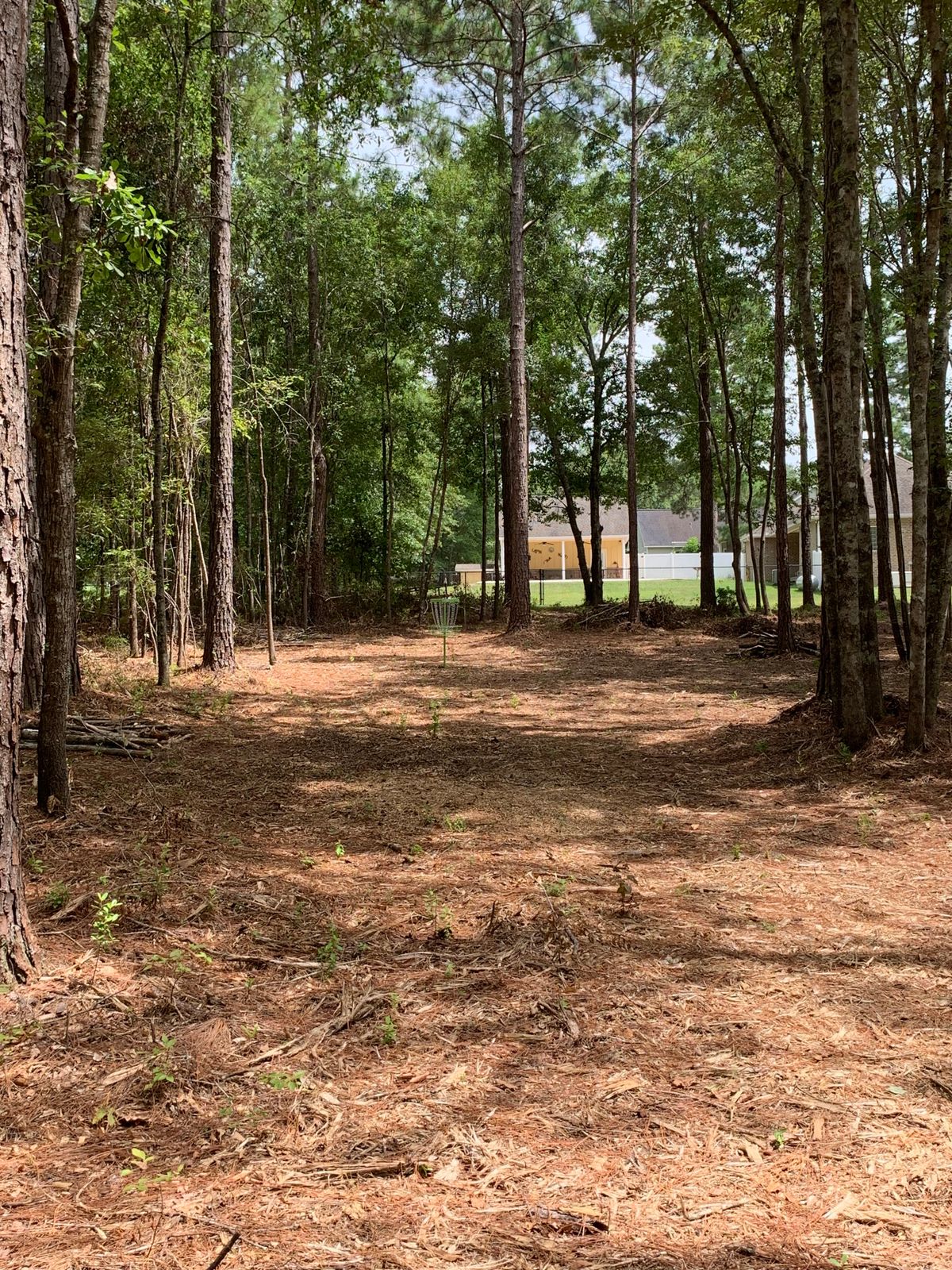 Approach from tee pads 6 & 18, lime basket