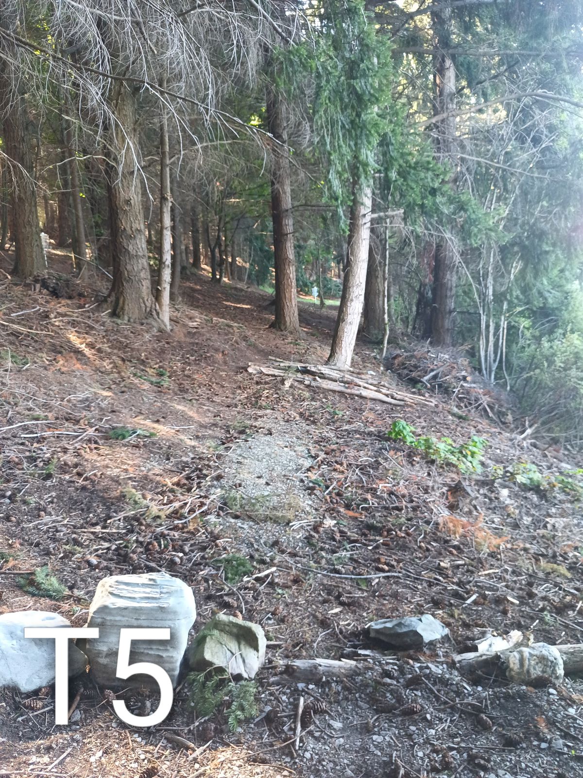 67m throw straight don't go right it's hard to find disc's and the lake is there