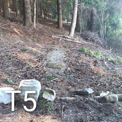 67m throw straight don't go right it's hard to find disc's and the lake is there