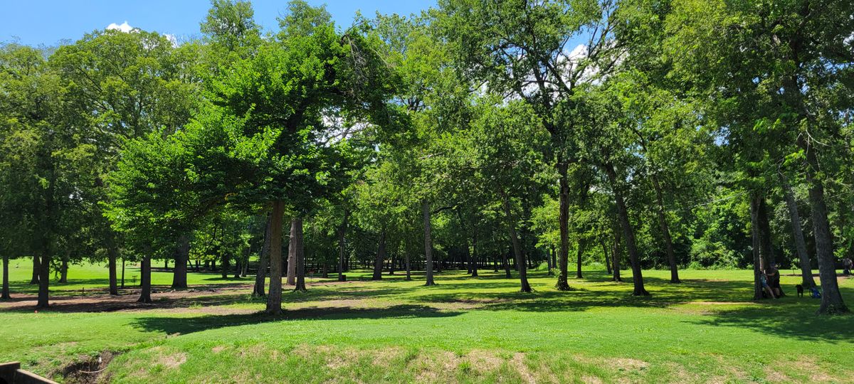 From tee hole #8