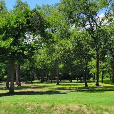 From tee hole #8