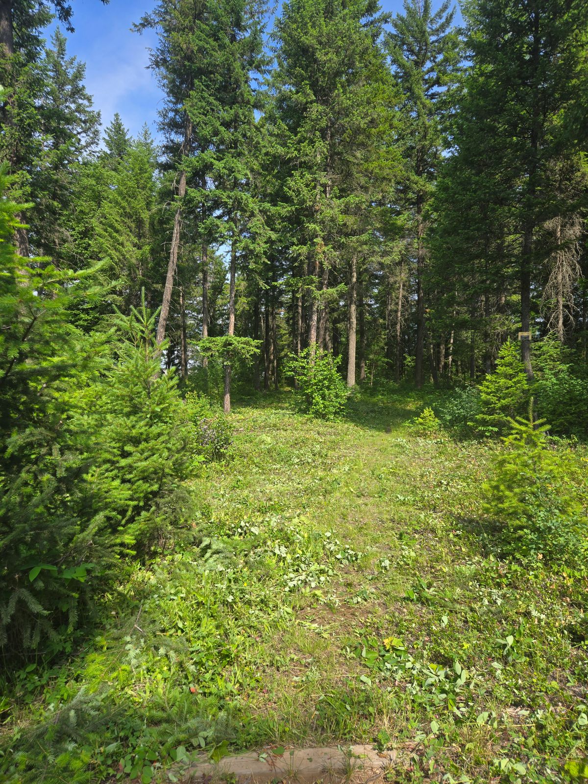 Hole 3