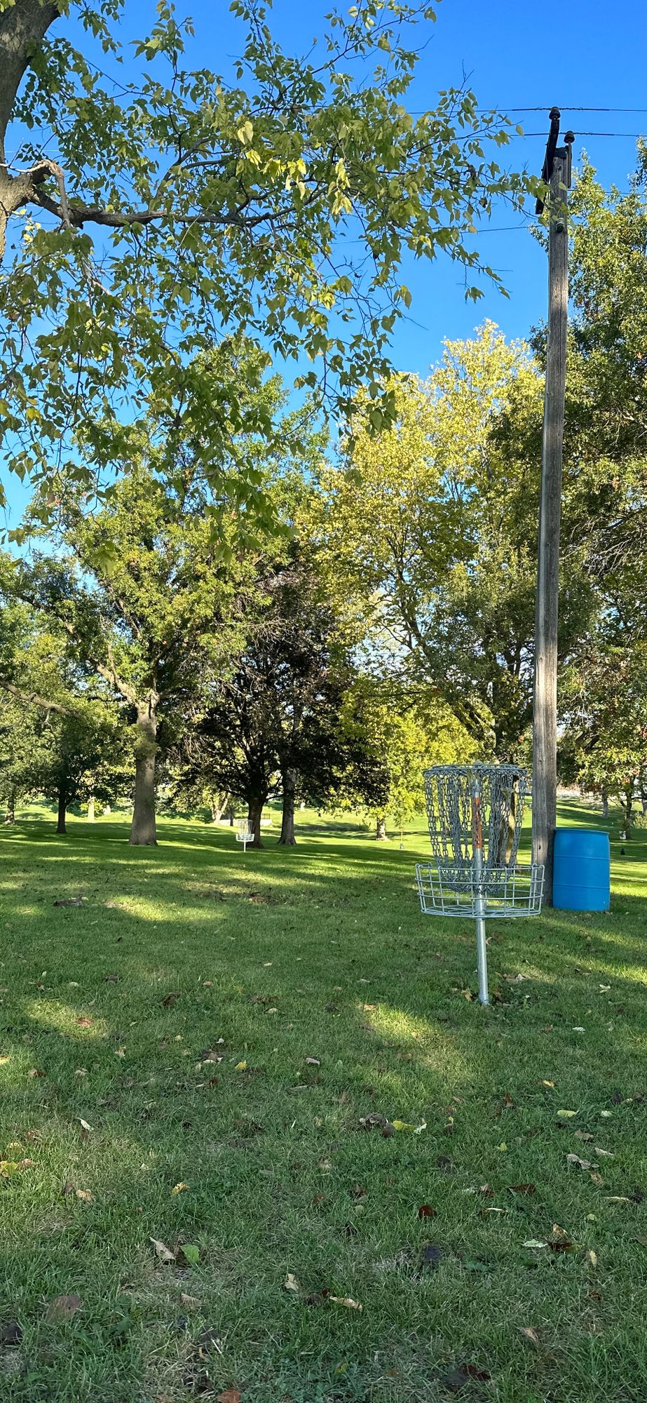 Couple of baskets