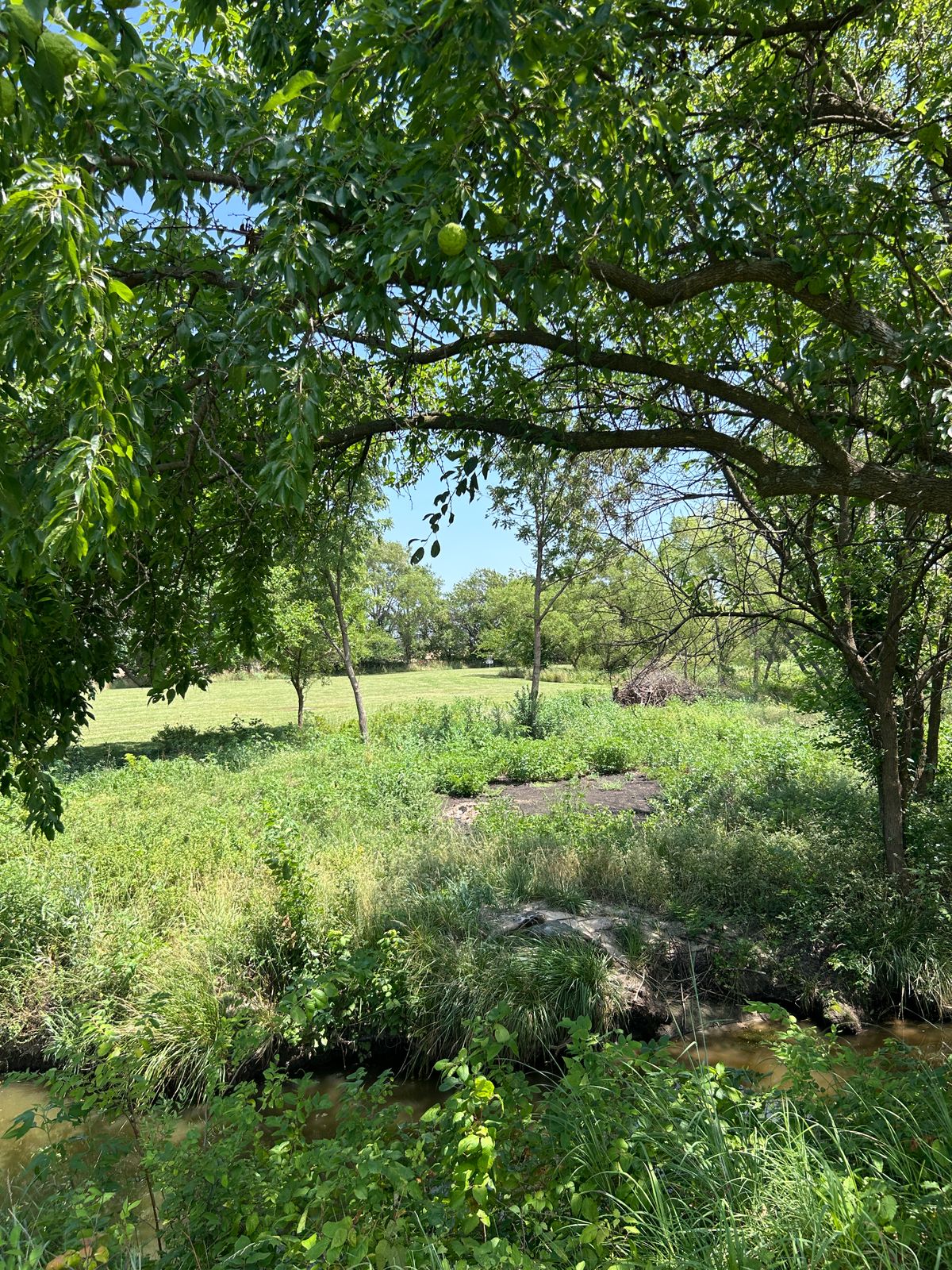 Hole 6