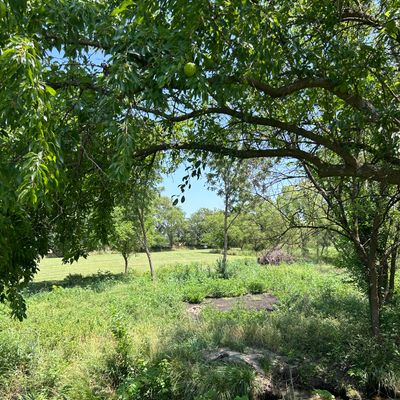 Hole 6