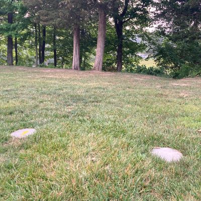 Hole one is left of the parking lot, behind the 18th basket. Shot is over creek, to the left.