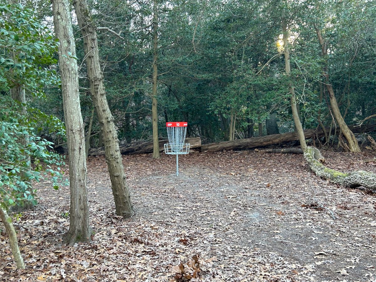 Basket on 10 with nice natural backstop