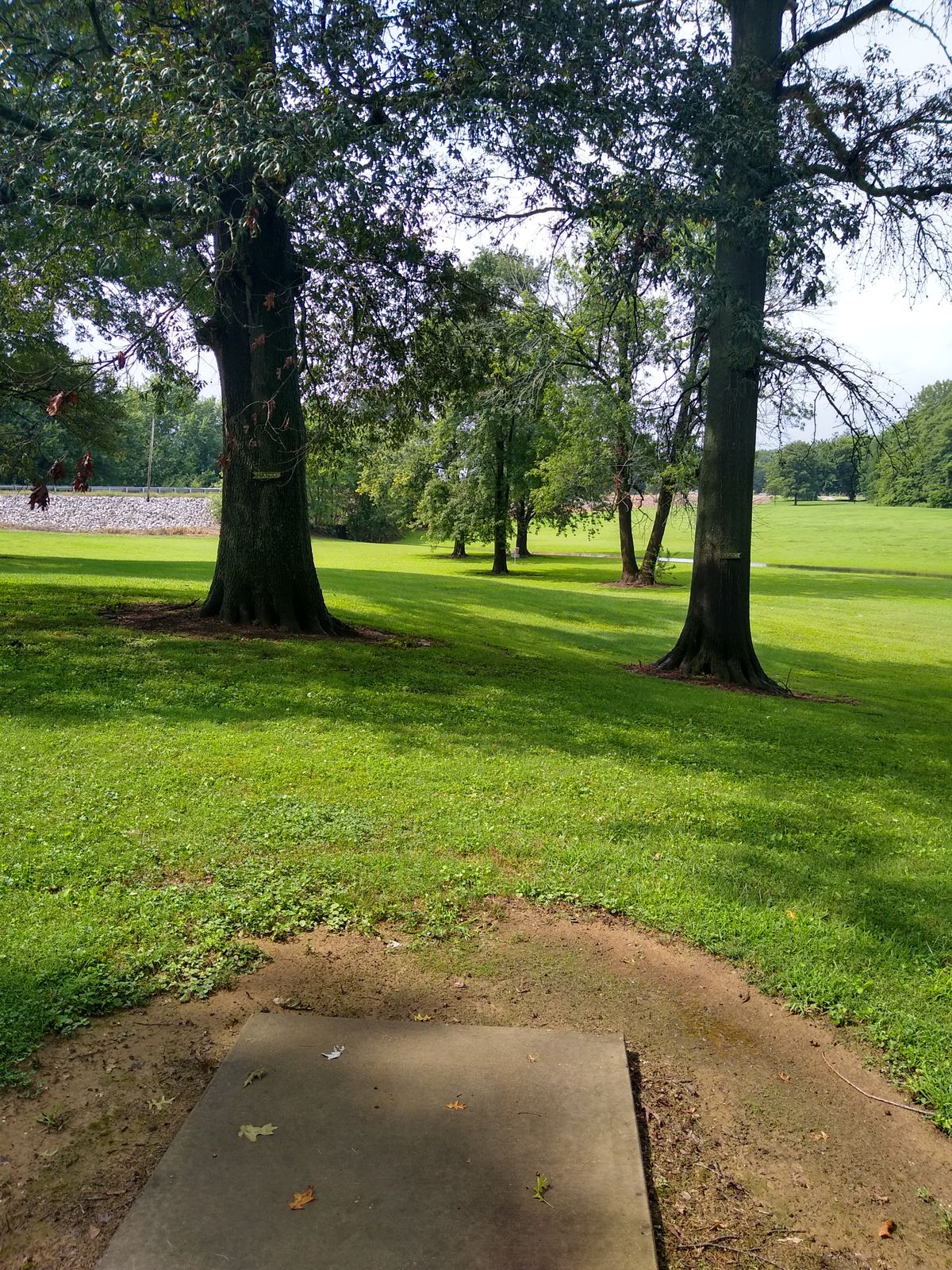 Hole 3 has a Mando between the 2 big trees