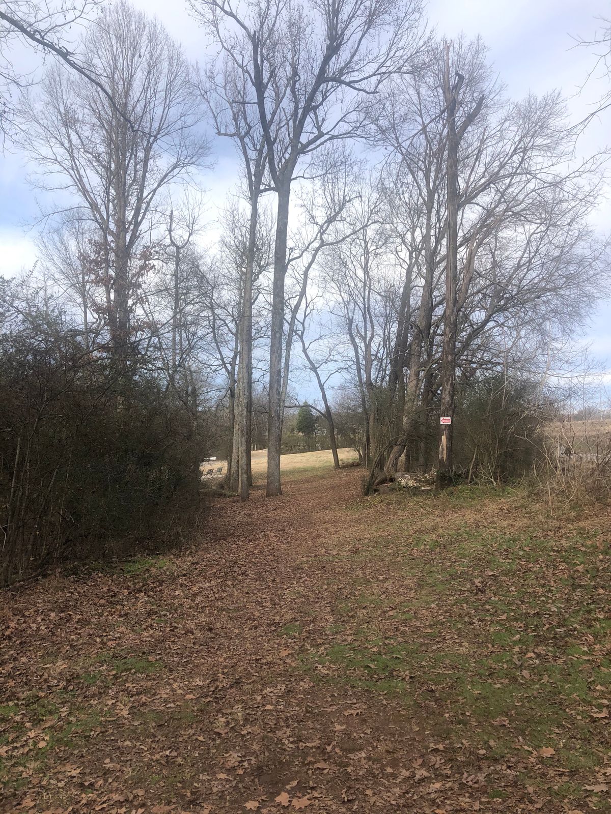 Hole 4