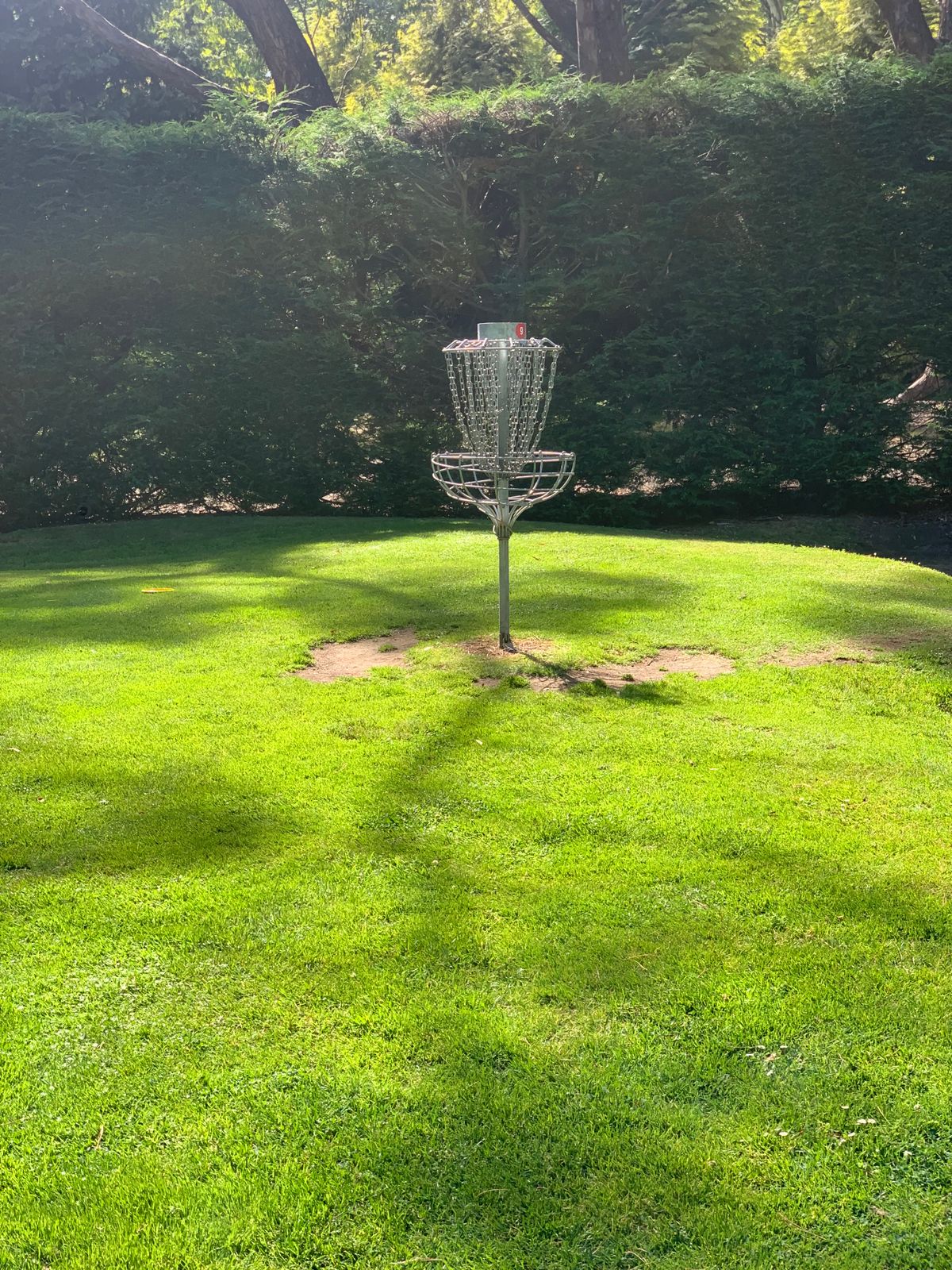Hole Nine basket in the sun!