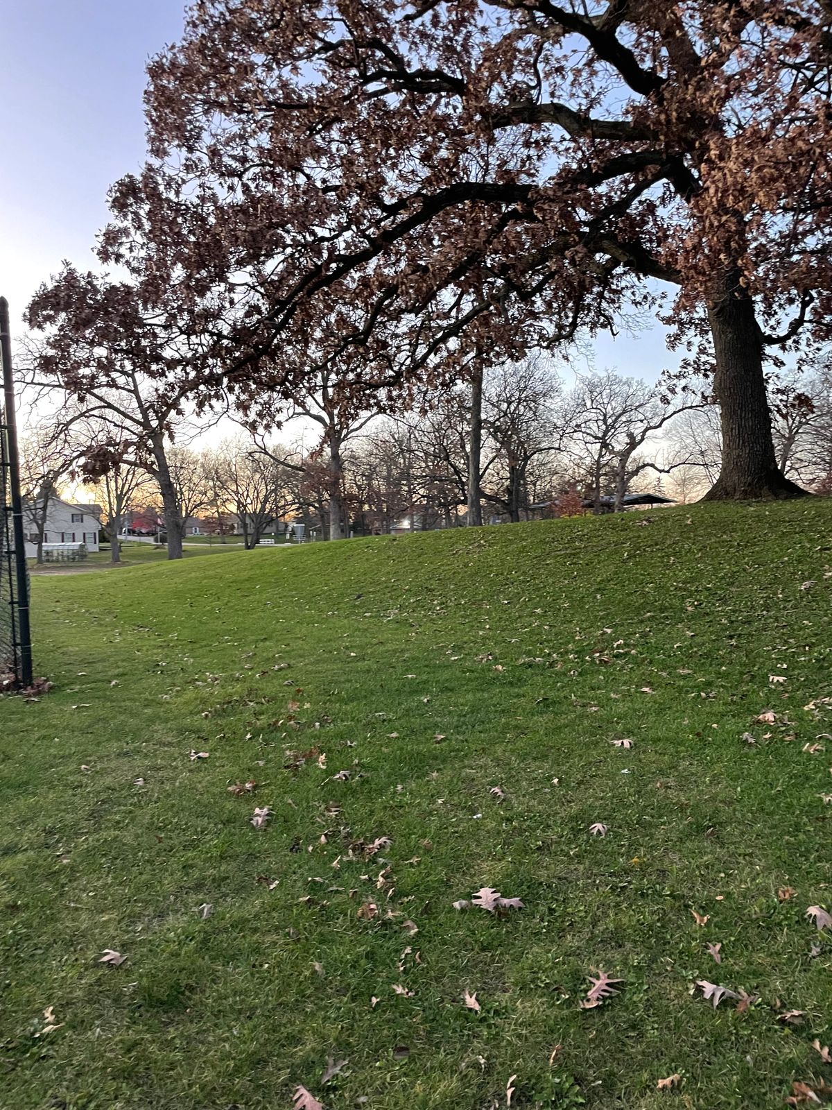 Hole 8 from fairway