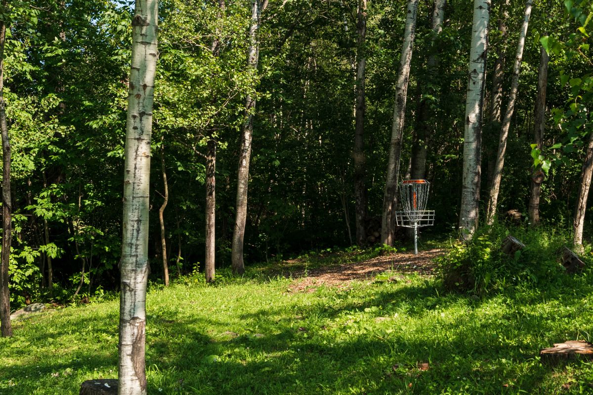 Hole 2 basket