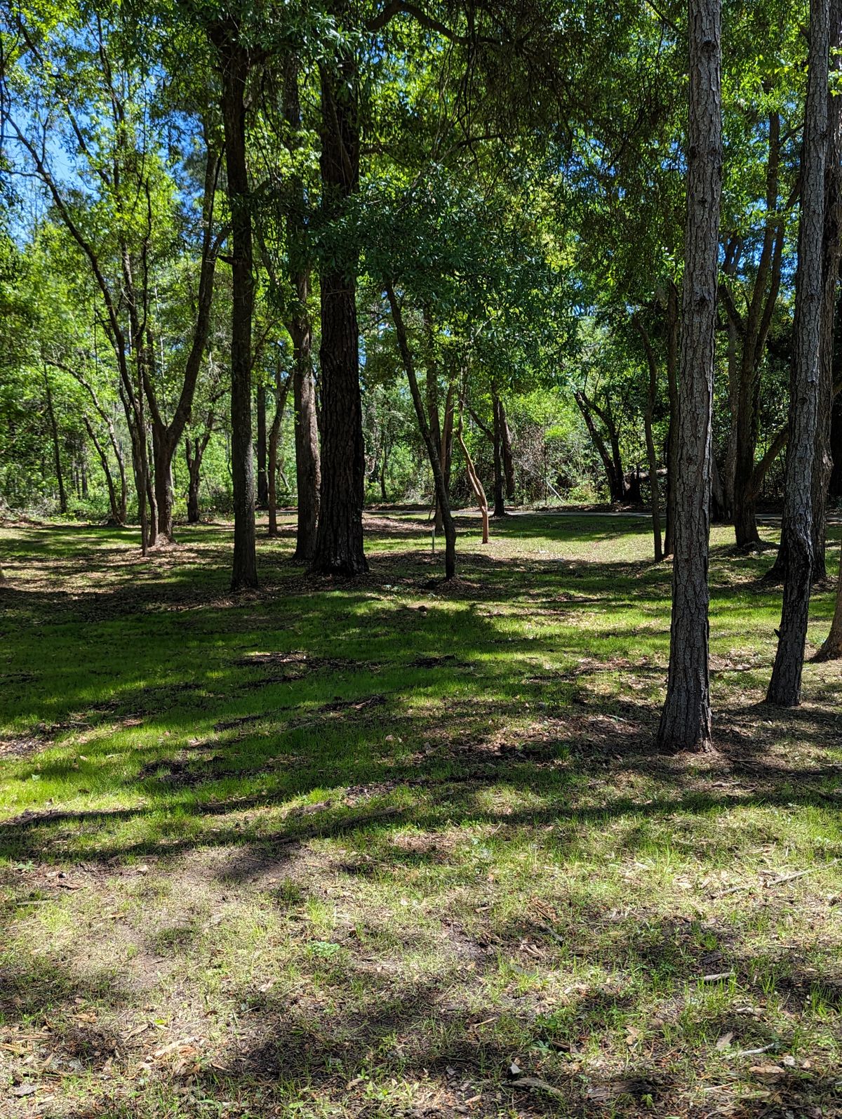 Hole 13 B Pin Location