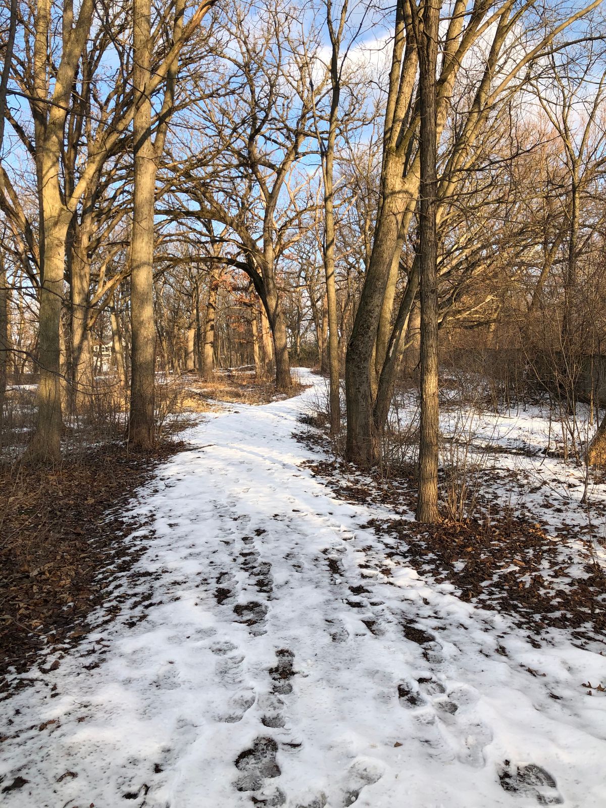 Hole 16