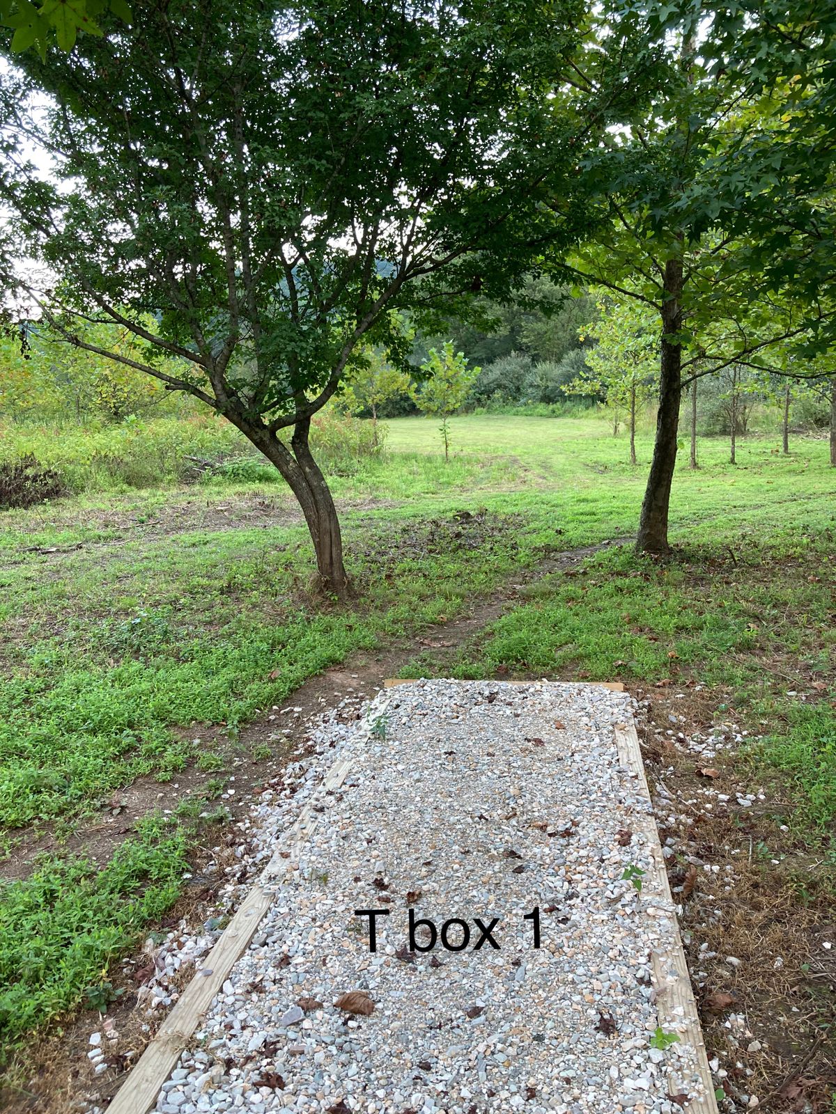 T box 1 hole 2
